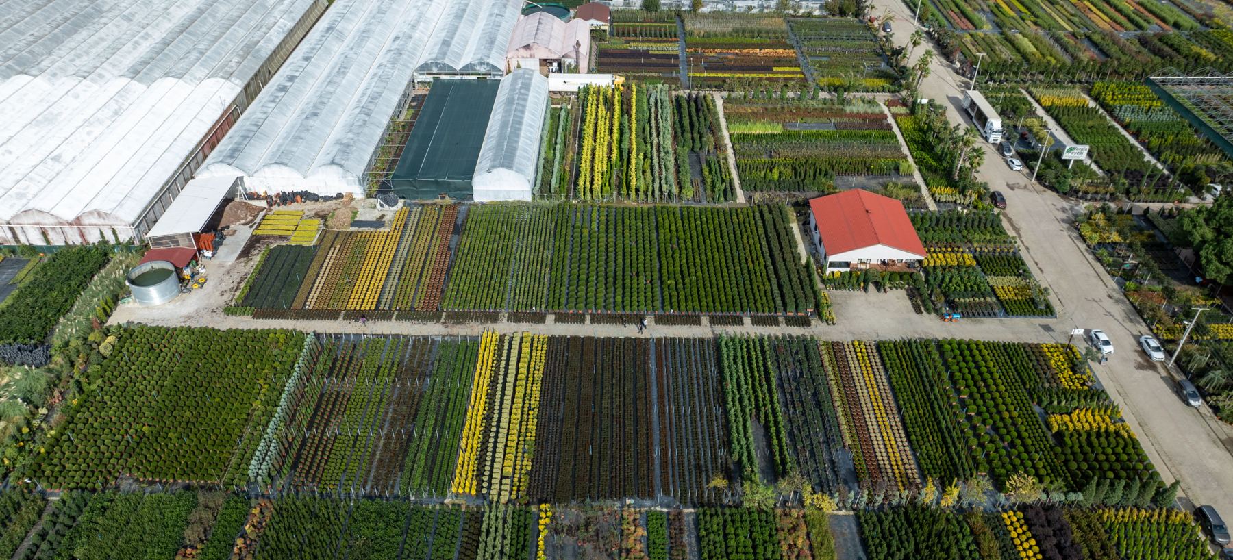 Aerial view of a commercial greenhouse and nursery complex, rows of plants and glasshouses